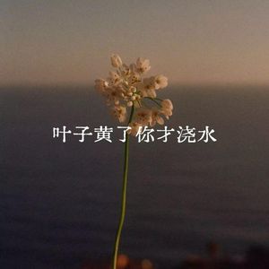 叶子黄了你才浇水
