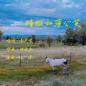 蜻蜓和蒲公英