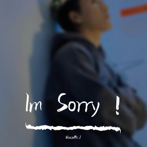 Im Sorry ！