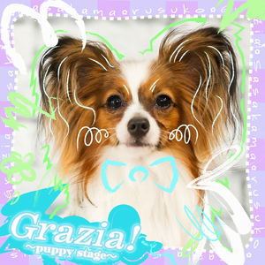 Grazia! ～puppy stage～