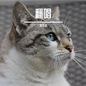 穿梭于世间的你