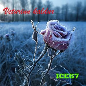 Veturinn kaldur (Radio Edit)