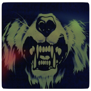 Counting Alligator Teeth