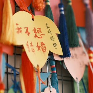 我们总是在寻找