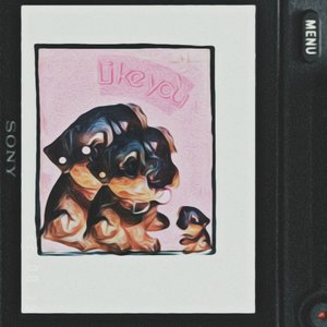 笨拙小熊躺在草地上跳舞