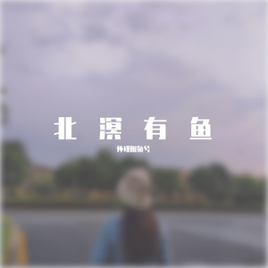 可乐（Cover 赵紫骅）