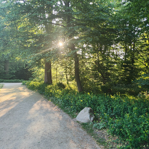 Ukendt vej (Instrumental Version)