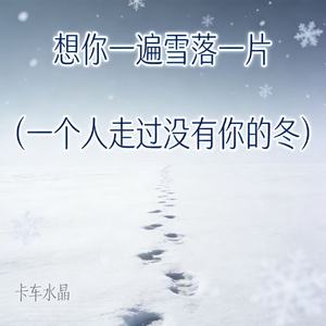想你一遍雪落一片 (一个人走过没有你的冬)