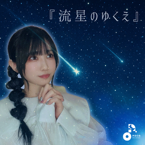 流星のゆくえ (INSTRUMENTAL)