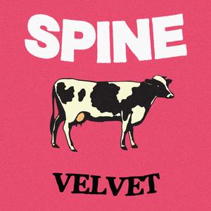 Spine