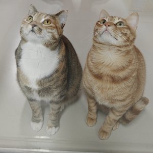 写给你的小情歌.wav