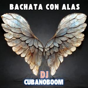 Cada uno su Felicidad