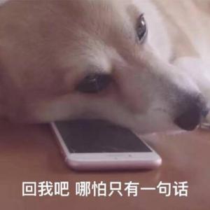 想你的夜(听宝宝的话，别让他受伤)