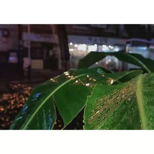 渐行渐远