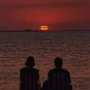 在黄昏之前离去