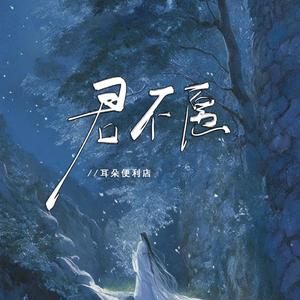 君不愿 (DJ Alu版伴奏)