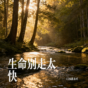 生命别走太快
