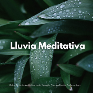 Meditación Agradable Con Llovizna