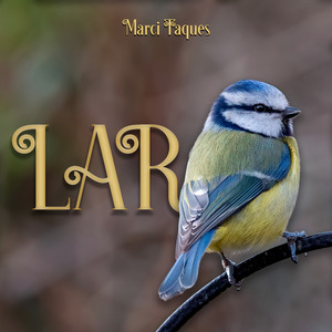 Lar