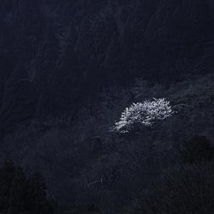 认命(Prod MoonVibe Beatz & Lil Siren )