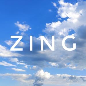 ZING（Prod by Franco.D）