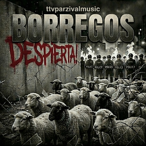 borregos