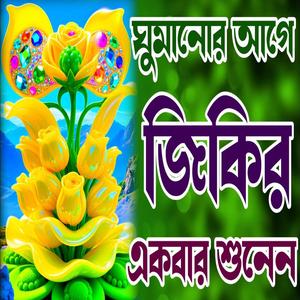 ঘুমানোর আগে একবার জিকির শুনেন