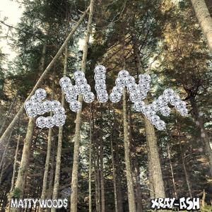 SHINE (feat. Matty Wood$)