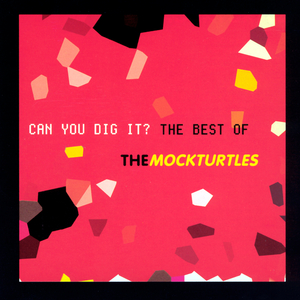 Why Must I Share This Air With Foolish Men?