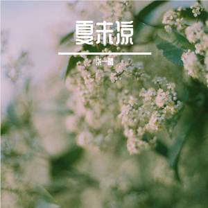 平行时空之殇