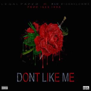 Don't Like Me (feat. Life Unda, Bam Biggahlowe & Fenaam Hussien)