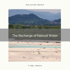 Soothing Music of Rain Forest with Shimmering River