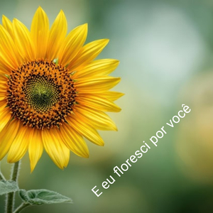 E eu floresci por você