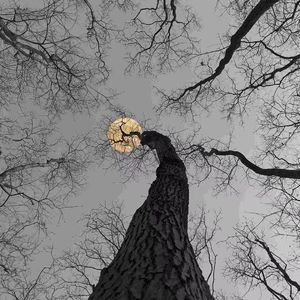 418A（prod by Ay beat）