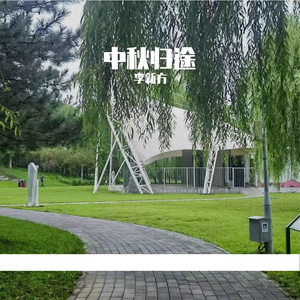 中秋归途