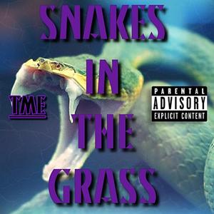 Snakes In The Grass