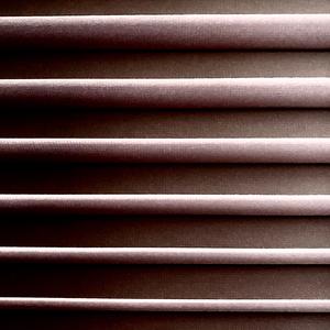 Black Out Blinds (feat. Burniss Earl Travis II & Steve Lyman)