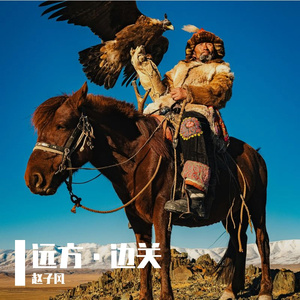 《在边关听星落》