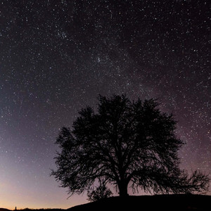 是不能原谅是无法阻挡