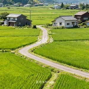 念故乡 (星河 & Nebula Remix)