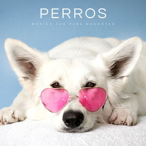 Música Para Pasear Con Mascotas