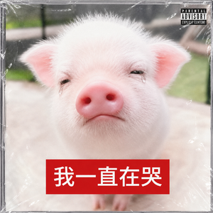我不明白 我一个普通的老百姓为什么要让我听这些