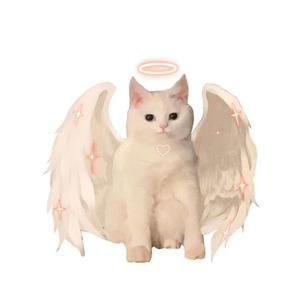 03.15_13.34.29格式转换