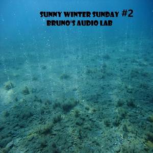 Sunny Winter Sunday #2