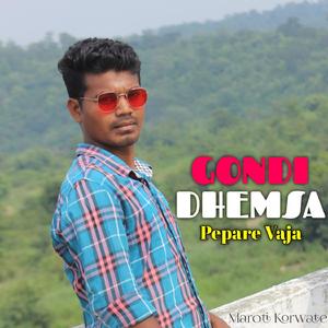 Gondi Dhemsa Instrumental