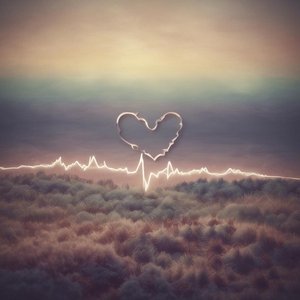 Why Do I Love You so Much