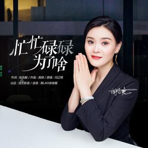 忙忙碌碌为了啥 (DJ小建版)