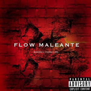 Flow Maleante