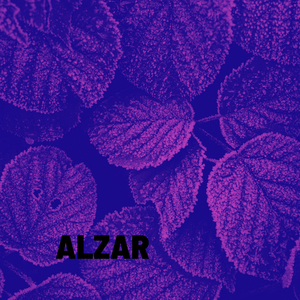 Alzar