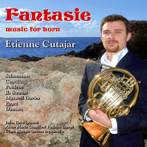 Pavane, Op. 50 (arr. E. Cutajar for horn and harp)